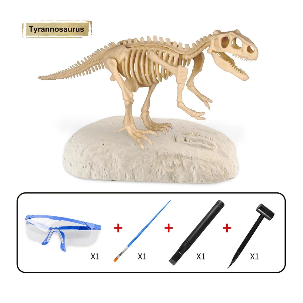 Dinosaur Fossil Excavation Kit for Kids Educational Archaeological Digging Adventure with Realistic Skeleton Models Perfect Gift for Boys and Girls
