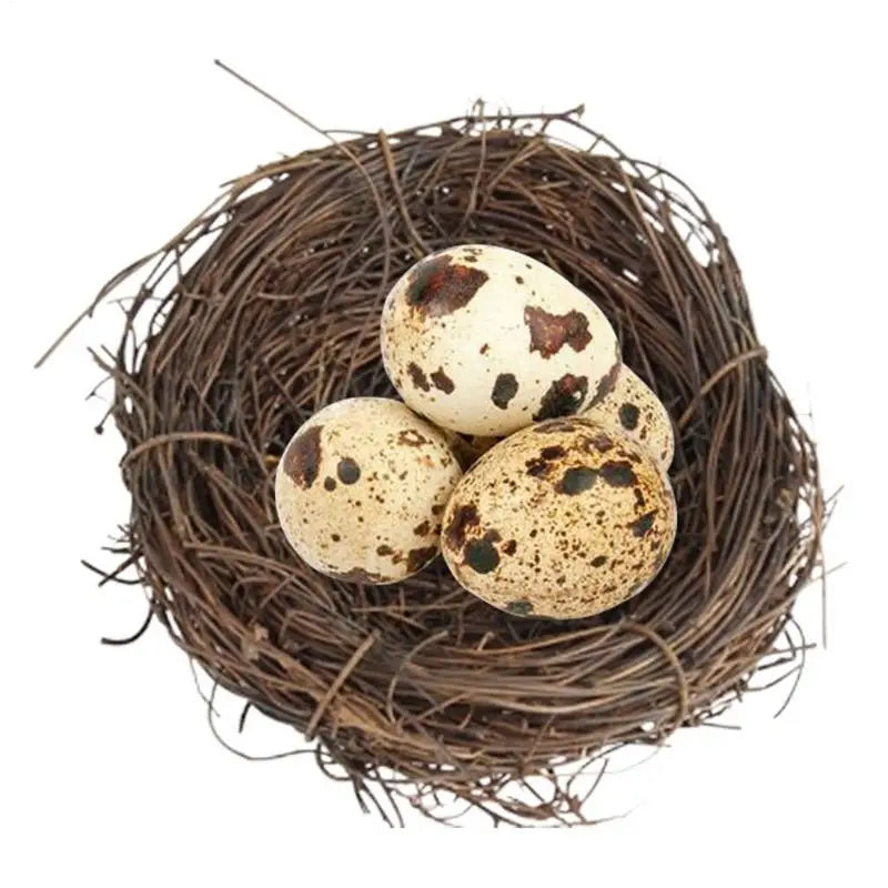 Bird Nest Handmade Woven Rattan Bird House Flat Base Small Animal Bed House For Garden Backyard Habitat Bird Cage Accessories