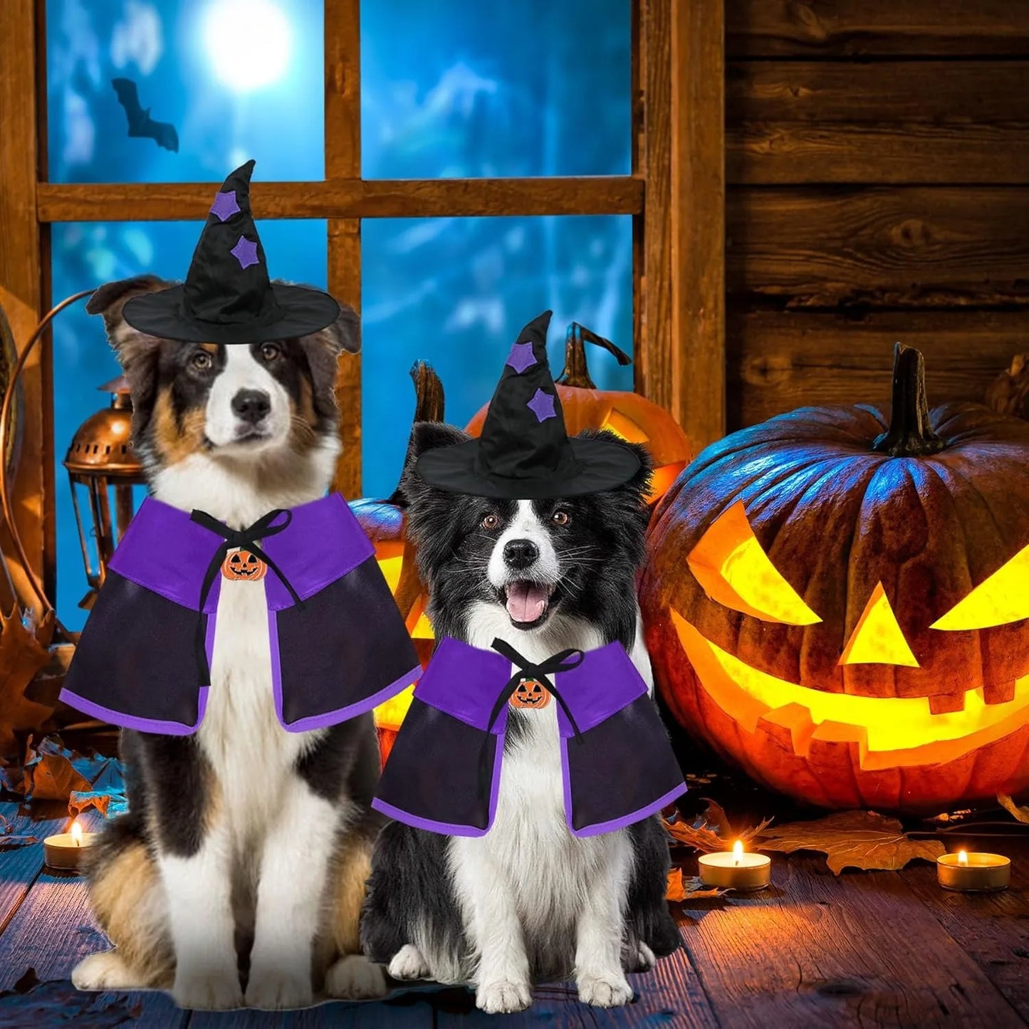 Dog Halloween Costumes, Dog Witch Costume Halloween Dog Witch Cloak Cape Wizard Hat for Small Medium Large Dogs Pets