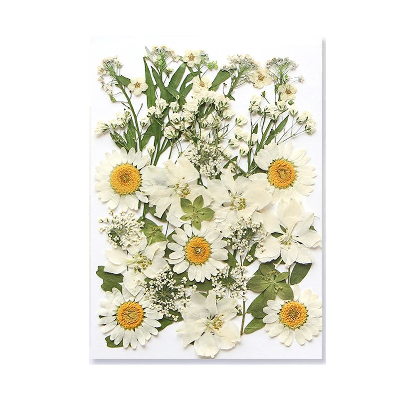 Dried Flowers Real Natural Plant Pressed Flower for Epoxy Resin DIY Keychain Pendant Jewelry Making