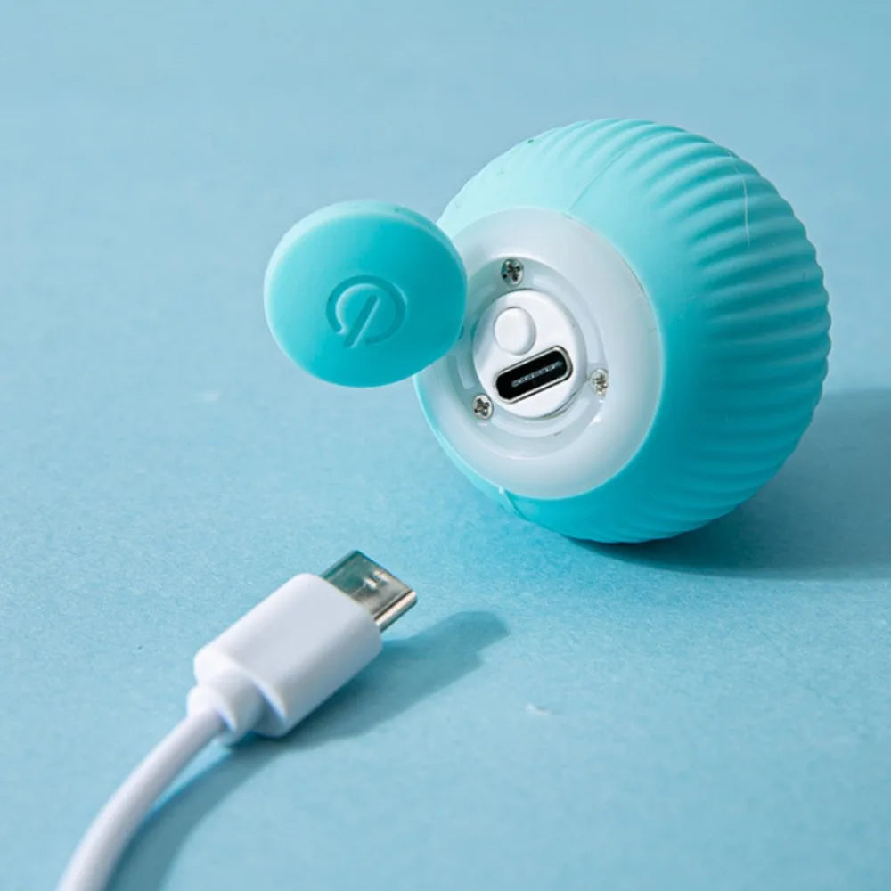 Cat Interactive Ball Smart Pet Toy for Indoor Fun