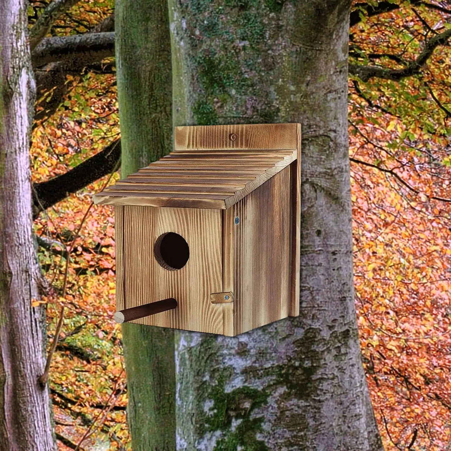 Bird House Bluebird House Wooden Bird Box for Kids Adults Window Small Birds
