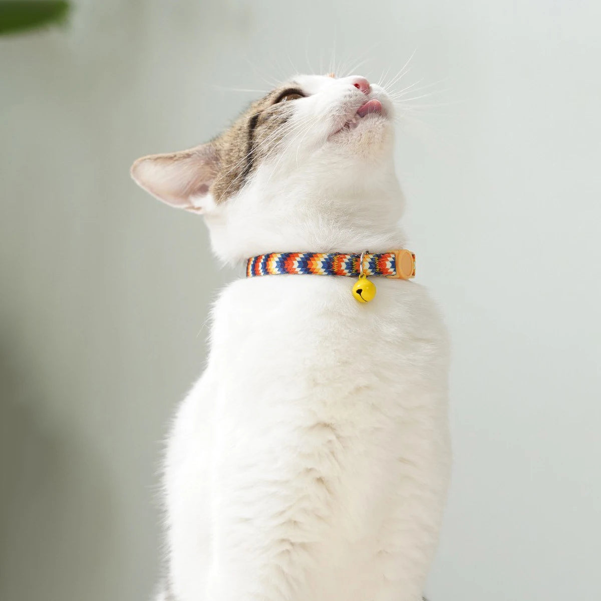 Cute Cat Weaving Necklace with Small Bell Design Anti-Suffocation Cat Collar Adjustable 15-30cm Comfortable Soft nylon material