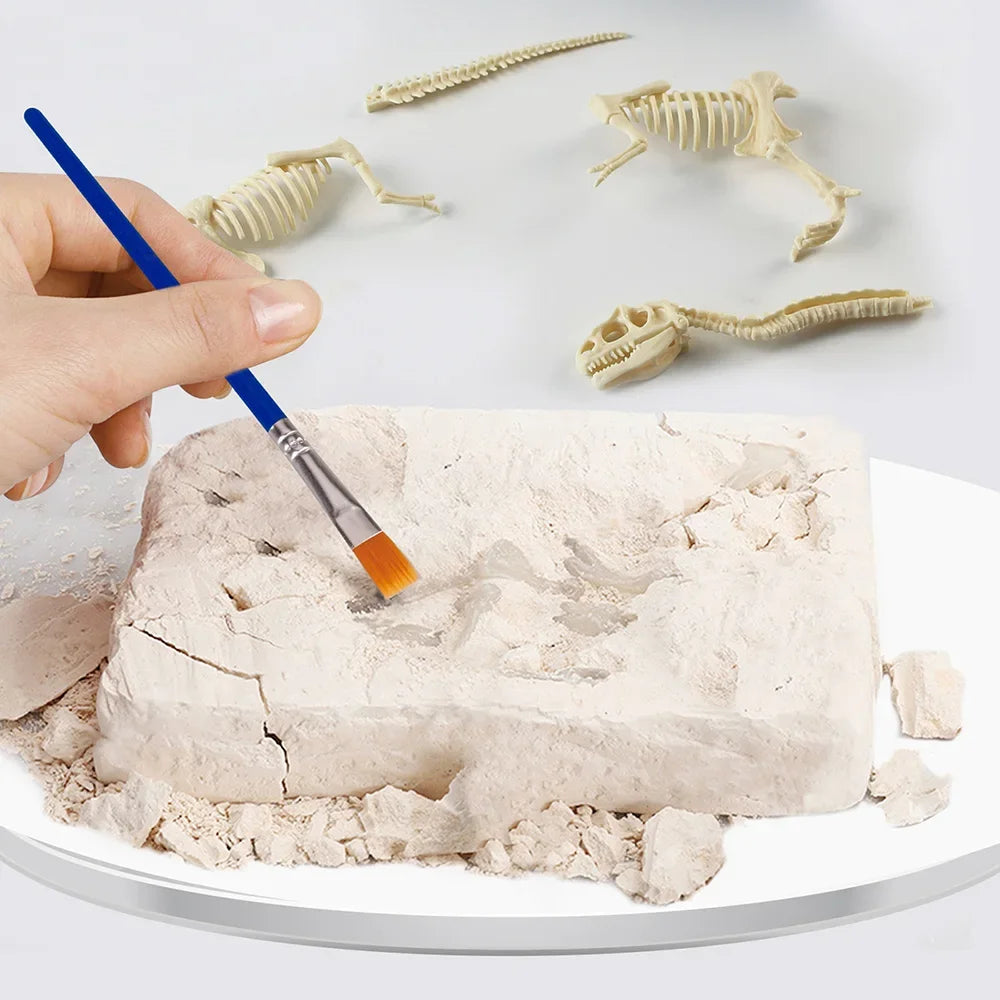 Dinosaur Fossil Excavation Kit for Kids Educational Archaeological Digging Adventure with Realistic Skeleton Models Perfect Gift for Boys and Girls