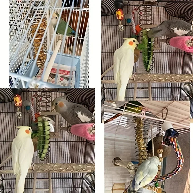 Stainless Steel Parrot Forager Feeder Durable Outdoor Bird Feeding Device Spiral Design Natural Fruit Basket for Small Pets