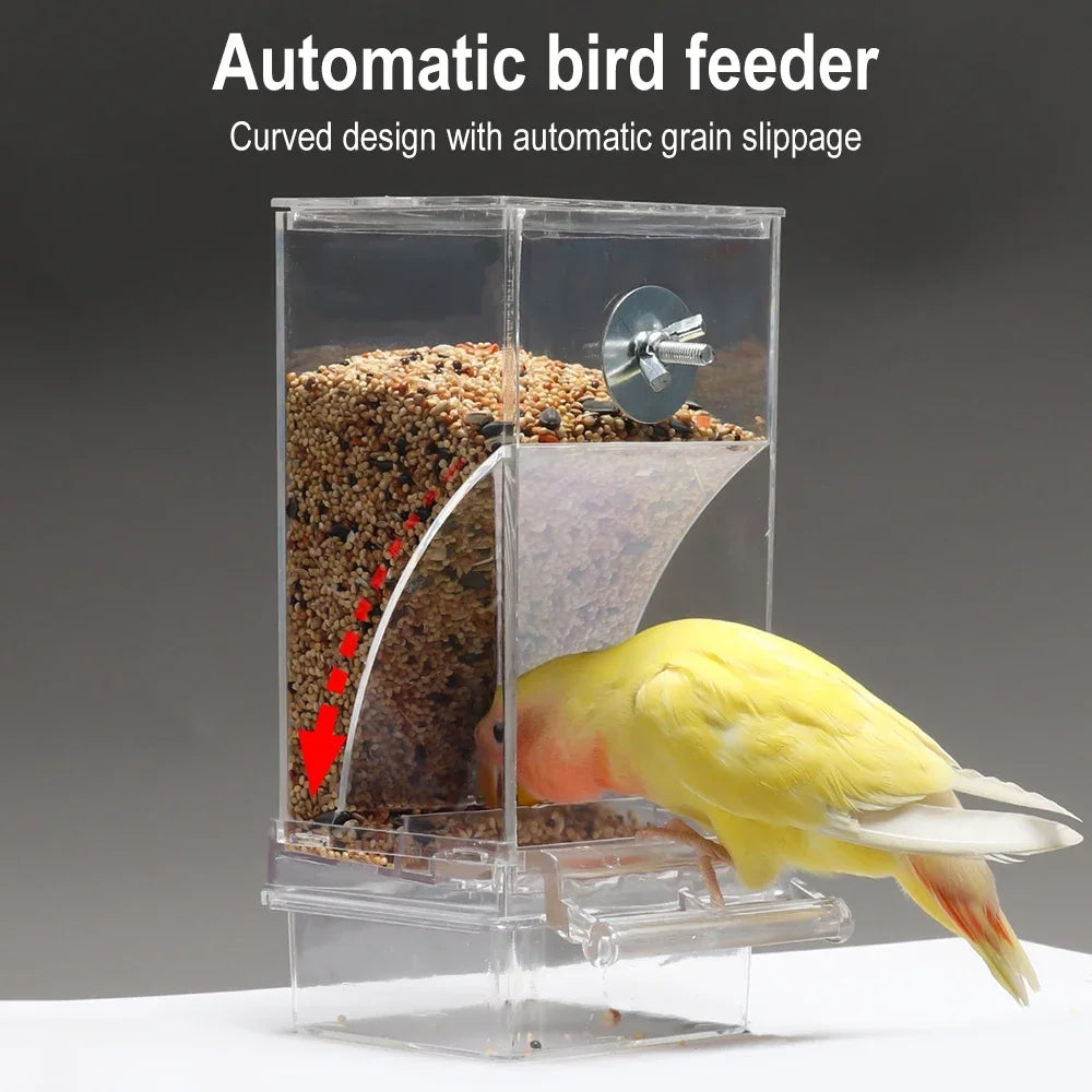Parrot Bird FeederSpill-proof Automatic Dispenser Splash-proof Outside FeederBird Feeder Tiger Peony Phoenix Bird Supplies