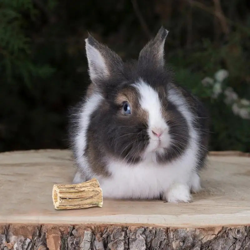 Hamster Chew Sticks 2X Wood Bunny Chewing Treats Natural Papaya Pet Teeth Care Supplies Healthy Teeth Grinding Toys For Indoor