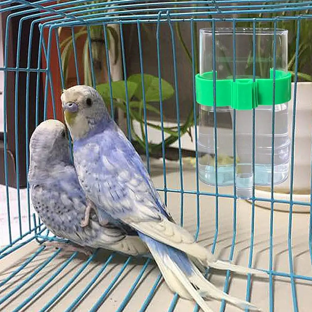Automatic Bird Water Dispenser Bird Drinking Feeder Transparent Bird Cage Water Fountain for Budgie Cockatiel Lovebird Canary