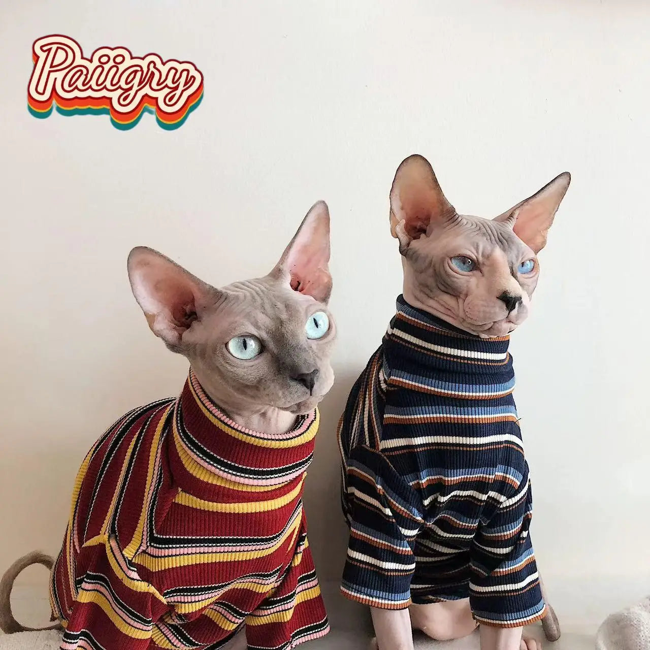 High cold retro style cat pet T-shirt, trendy fashion short sleeve, hairless cat must-have, summer pet clothing