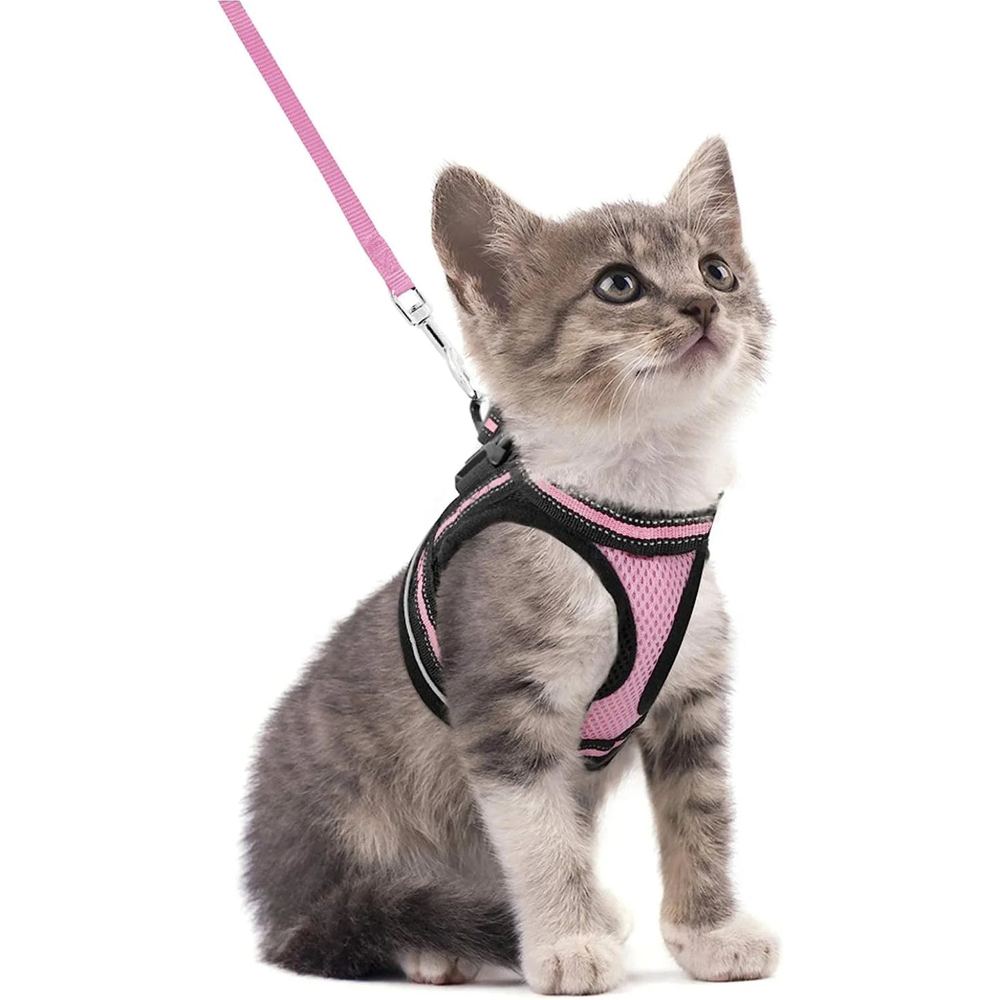 Cat Harness and Leash Set for Walking Escape Proof, Adjustable Soft Kittens Vest with Reflective Strip for Cats, Comfortable Out