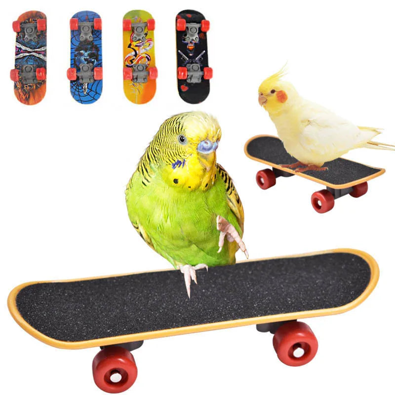 Bird Training Toys Funny Mini Skateboard Bell Ball Vine Balls Parrot Puzzle Toy Intellectual Development Bird Supplies