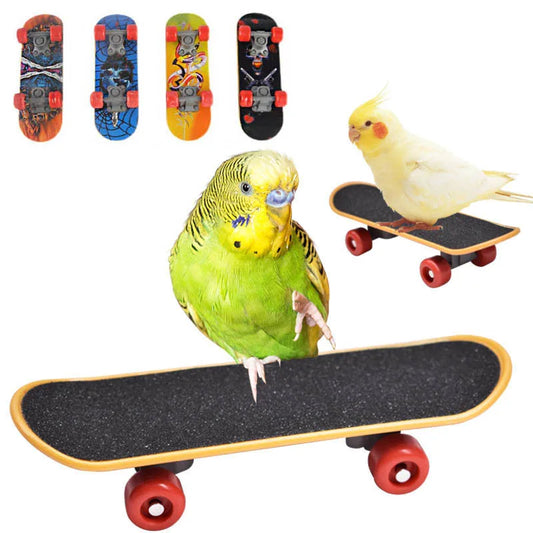 Bird Training Toys Funny Mini Skateboard Bell Ball Vine Balls Parrot Puzzle Toy Intellectual Development Bird Supplies