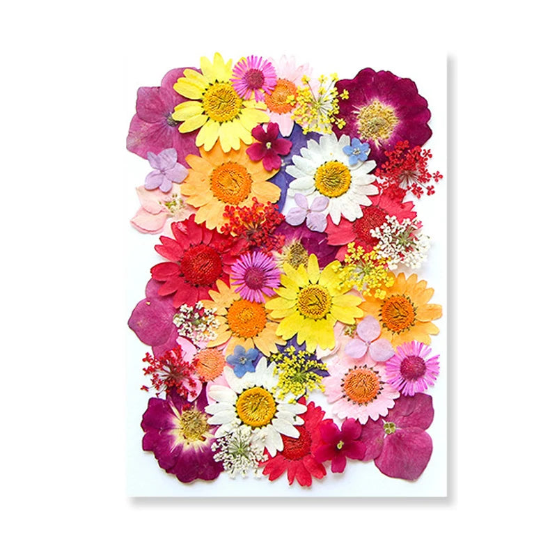 Dried Flowers Real Natural Plant Pressed Flower for Epoxy Resin DIY Keychain Pendant Jewelry Making