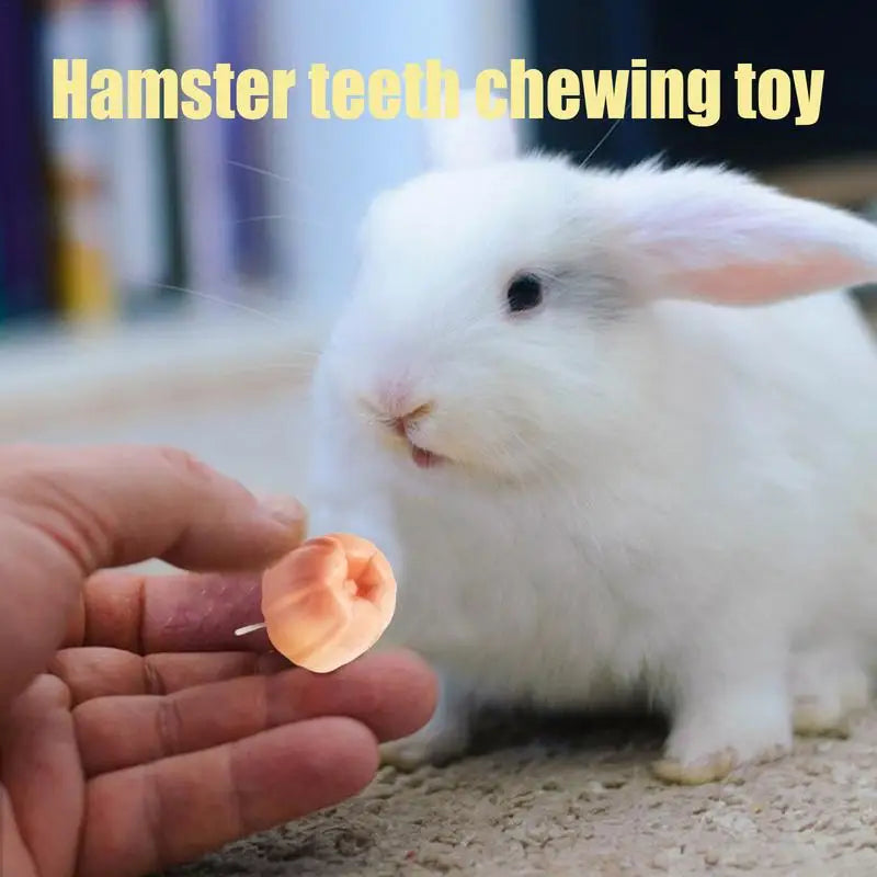 Hamster Pumice Mineral Treats Small Animal Mineral Calcium Stone 5PCS Bunny Teeth Grinding Stone For Chinchillas Rabbits Gerbil