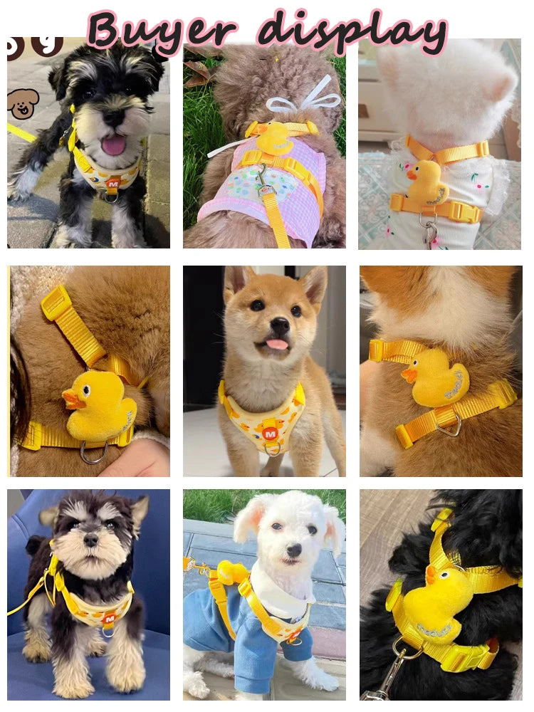 No Pull Cat Harness and Leash Set for Walking Escape Proof, Adjustable Nylon Mesh Cute Cat Harness for Cats Small Medium Dogs