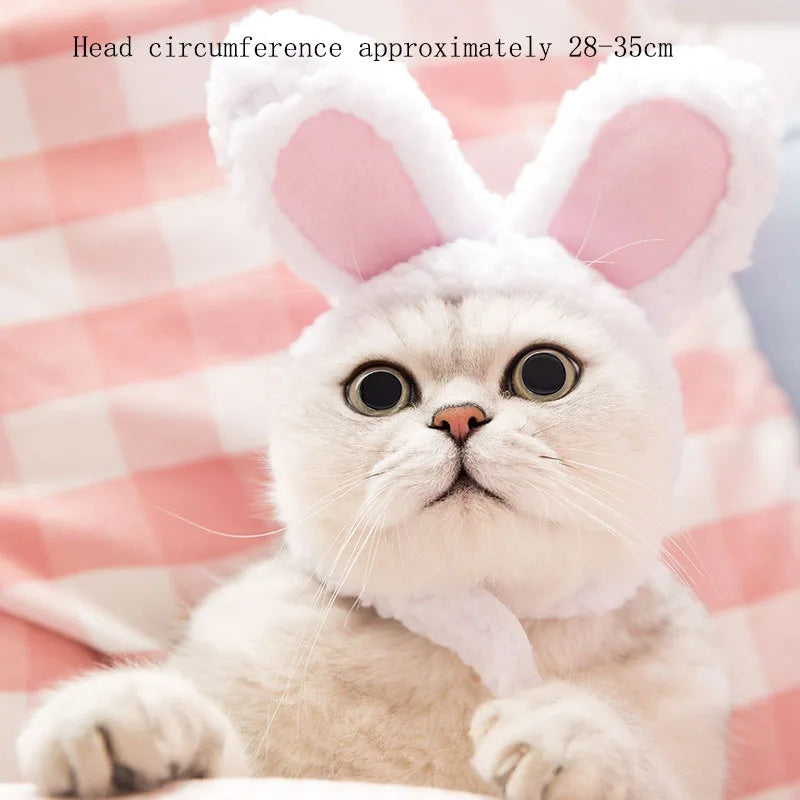 Cute Cat Hat Funny Halloween Cosplay Lion Scarf Wig For Small Dogs Cats Kitten Puppy Headgear Pug Creative Clothes Accessories