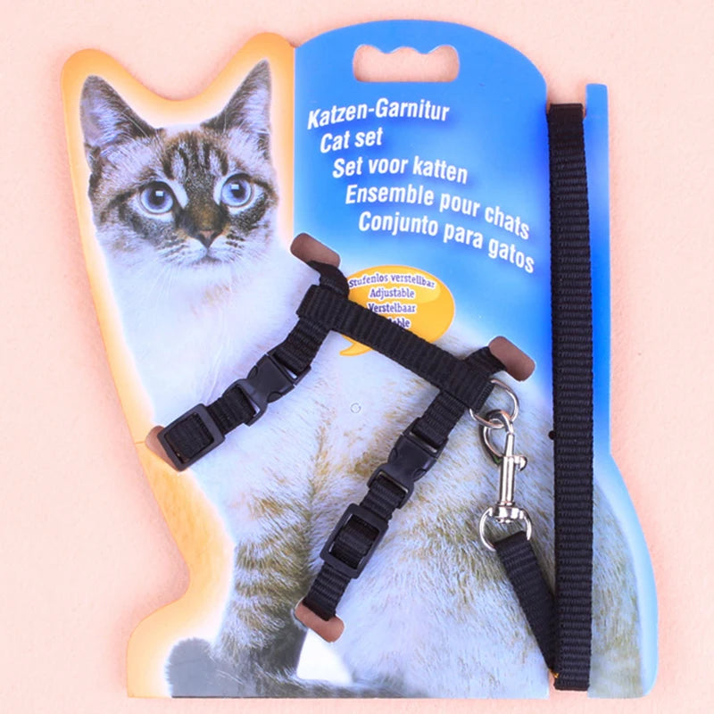 Cat leash I-shaped special dog leash for going out is firm and safe paper jam chest and back pet supplies
