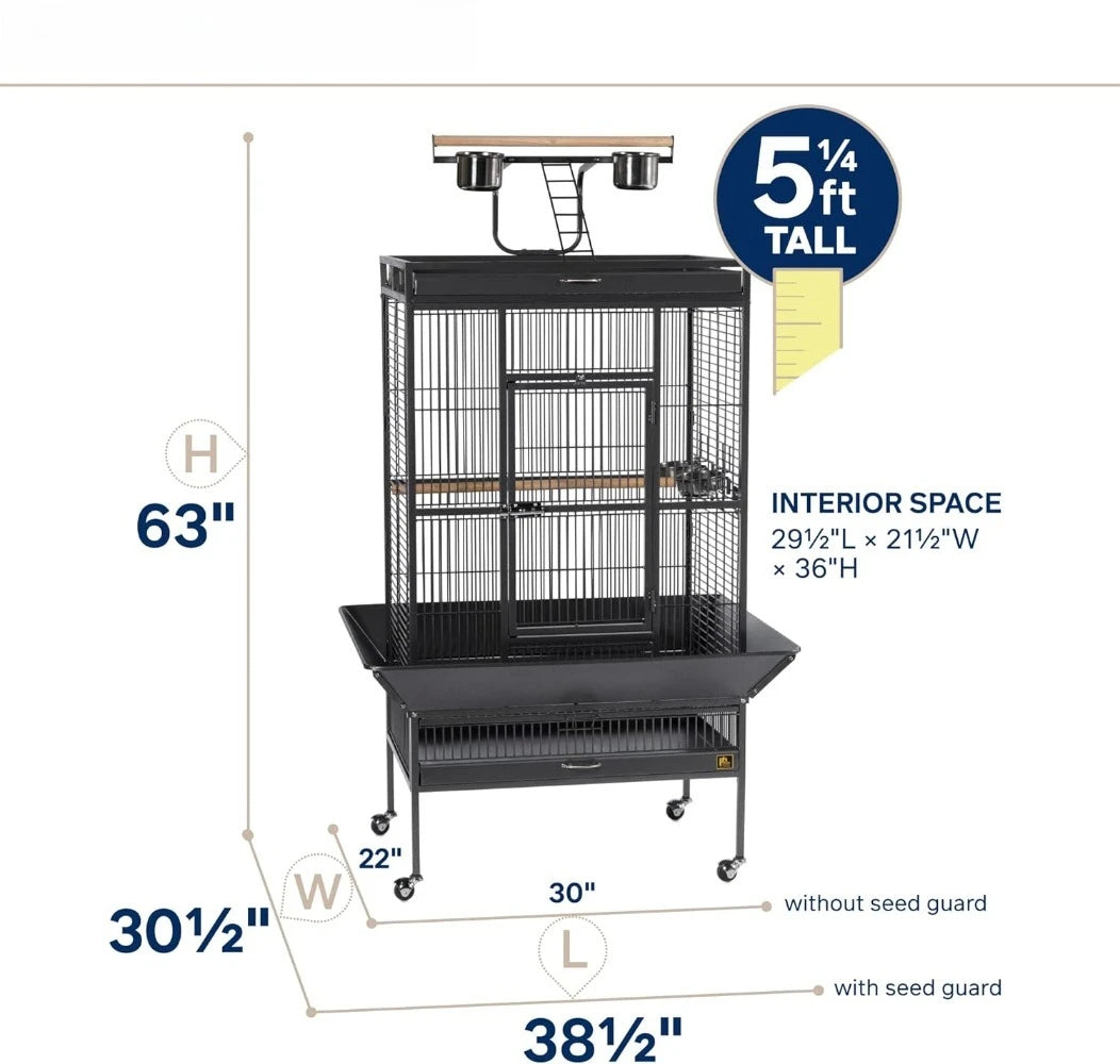 Hendryx Signature Select Series Wrought Iron Bird Cage in Black