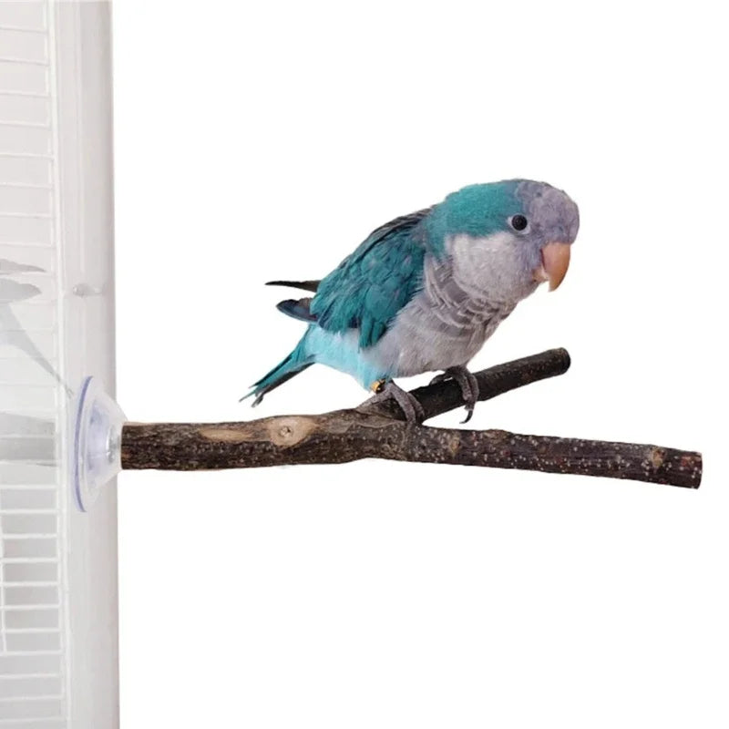 3pack Parrots Wall Bath Standing Rack Suction Cup Station Poles Interaction Toy for Budgies and Similar Birds