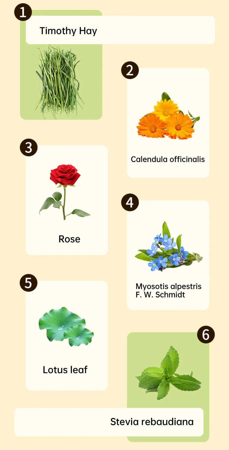 3 pieces Rabbit Chew Chips Mixed Natural Flower Chew Toys For Rabbits Bunny Chinchilla Guinea Pig Hamster Molar Toys