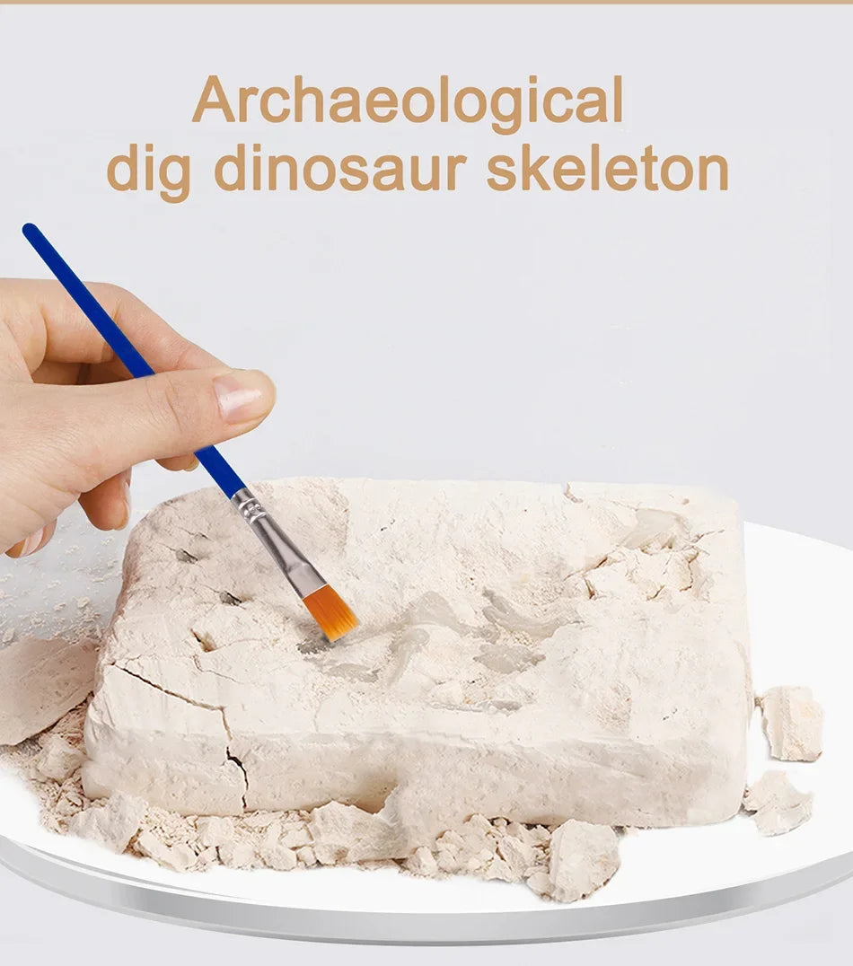 Dinosaur Fossil Excavation Kit for Kids Educational Archaeological Digging Adventure with Realistic Skeleton Models Perfect Gift for Boys and Girls