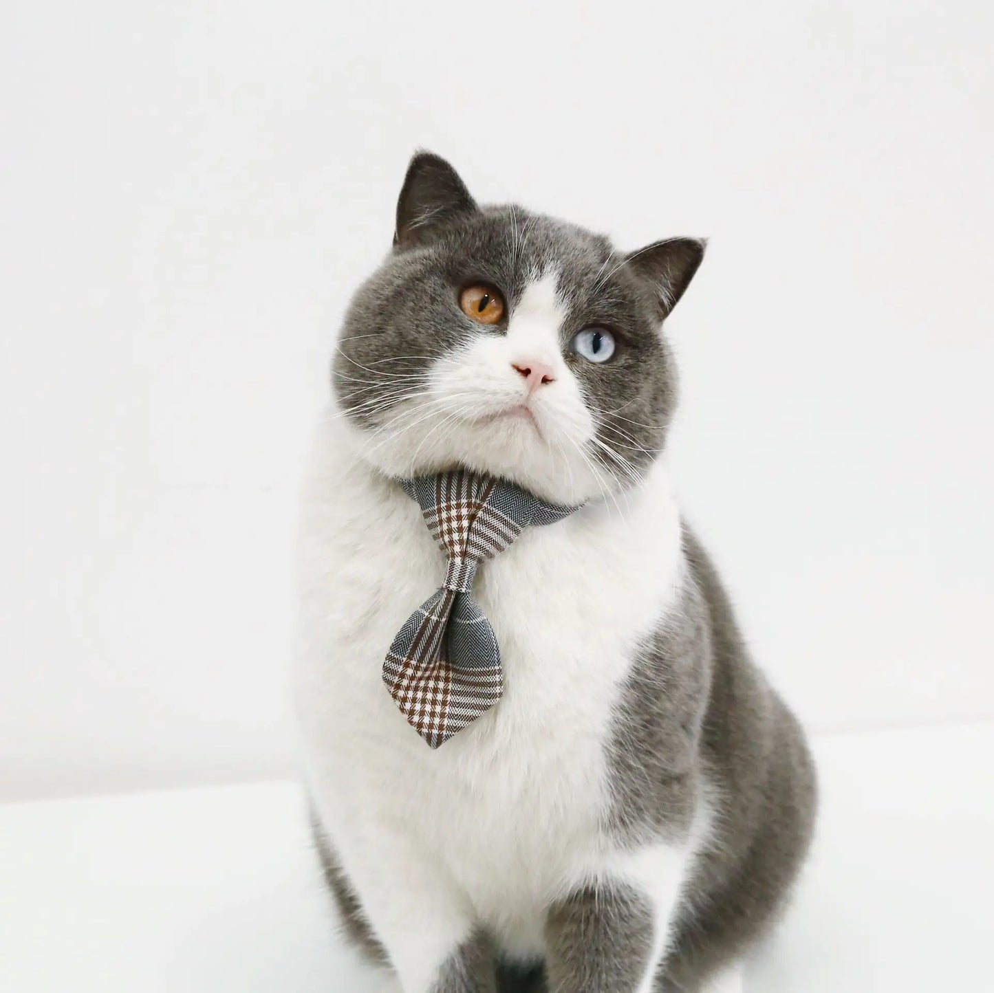 1pc Adjustable Plaid Cat Collar with Bow Tie - Adjustable Comfortable Collar, Perfect for Holiday Dress Up and Everyday Wear