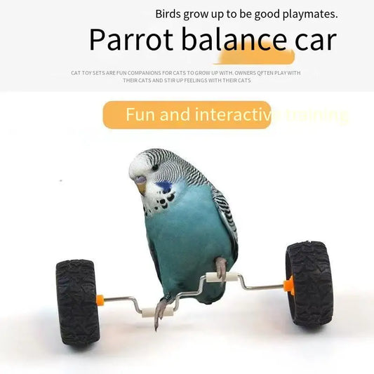 Parrot Toy Boredom Relief Balance Car Small and Medium Bird Supplies Roller Skateboard Skill Training Props Cockatiel Toy