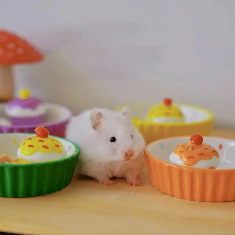 Ceramic Cake Hamster Bowl Small Pet Food Bowl for Home Use Multi-color Small Jewelry Box  Rabbit Feeder Parrot Supplies