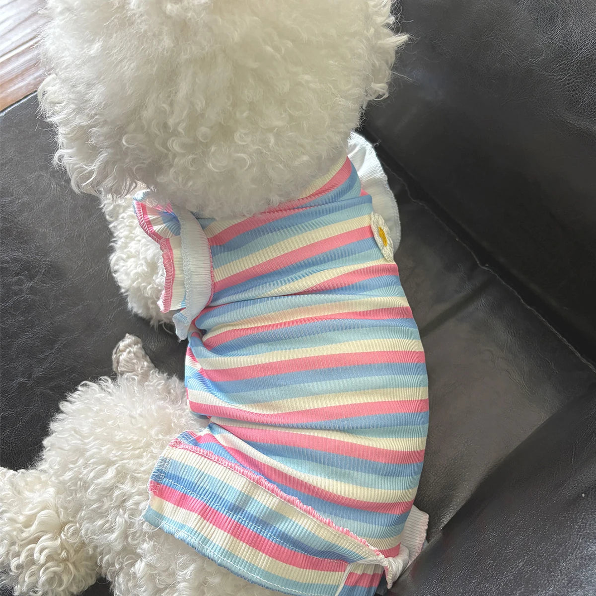 Rainbow Flower Small Dog Dress Cute Cat Clothes Summer Cooling Dog Clothes for Small Dog Vest Spring Soft Cat Dress Pet Clothes