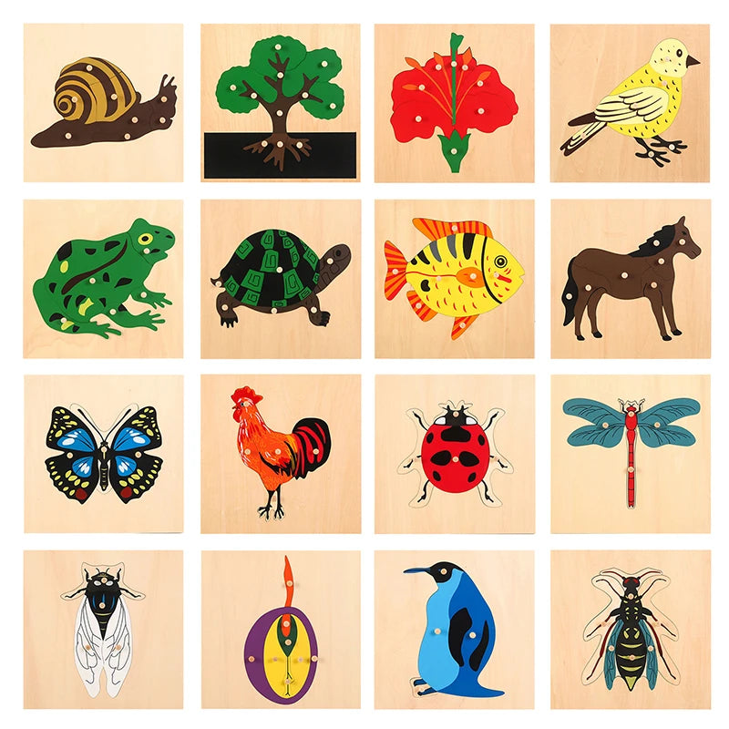 Montessori Wooden Panel Puzzles for Kids Age 3-6 Cognitive Animal and Insect Learning Toys