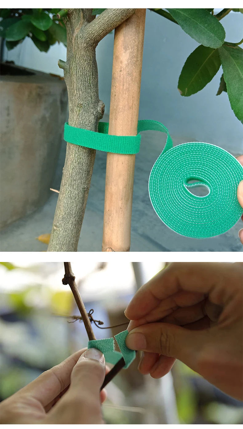 3 rollos de hilo verde para jardín, vendajes de nailon para plantas, ganchos para jardín, envoltura de caña de bambú, accesorios de jardín