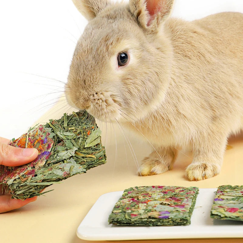 3 pieces Rabbit Chew Chips Mixed Natural Flower Chew Toys For Rabbits Bunny Chinchilla Guinea Pig Hamster Molar Toys