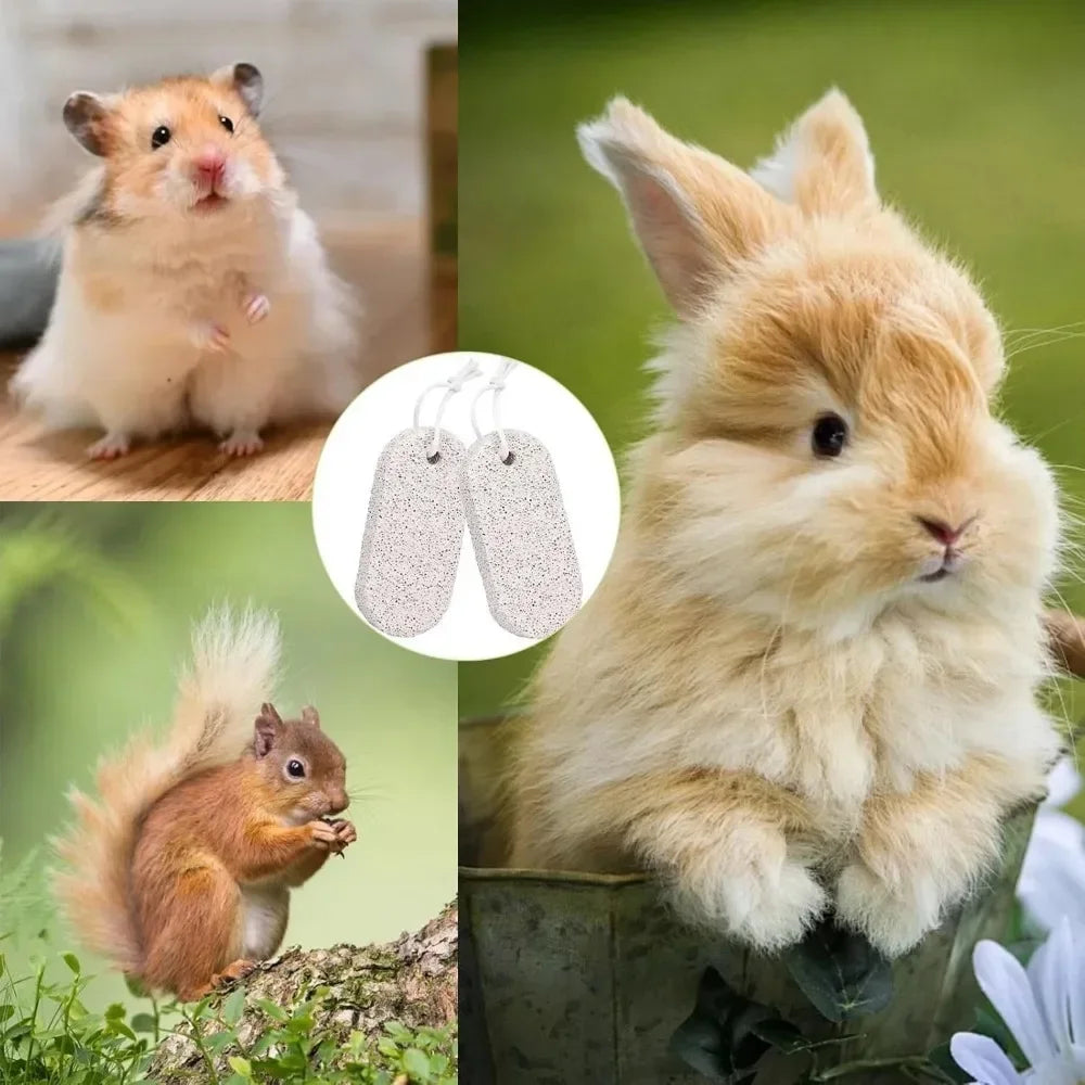 2/4/6PCS Teeth Molar Stone Natural Mineral Rabbit Guinea Pig Hamster Teeth Grinding Stone Small Pet Care Chew Toys Pets 2025