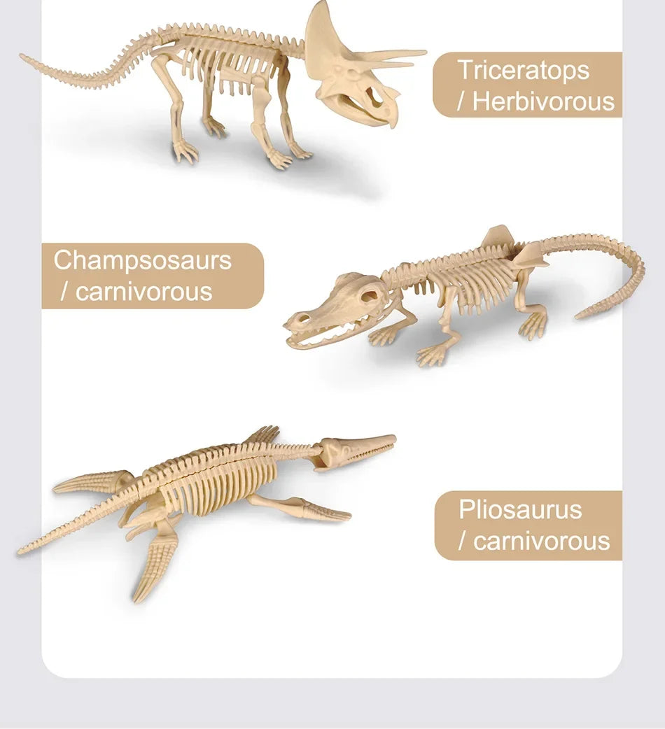 Dinosaur Fossil Excavation Kit for Kids Educational Archaeological Digging Adventure with Realistic Skeleton Models Perfect Gift for Boys and Girls