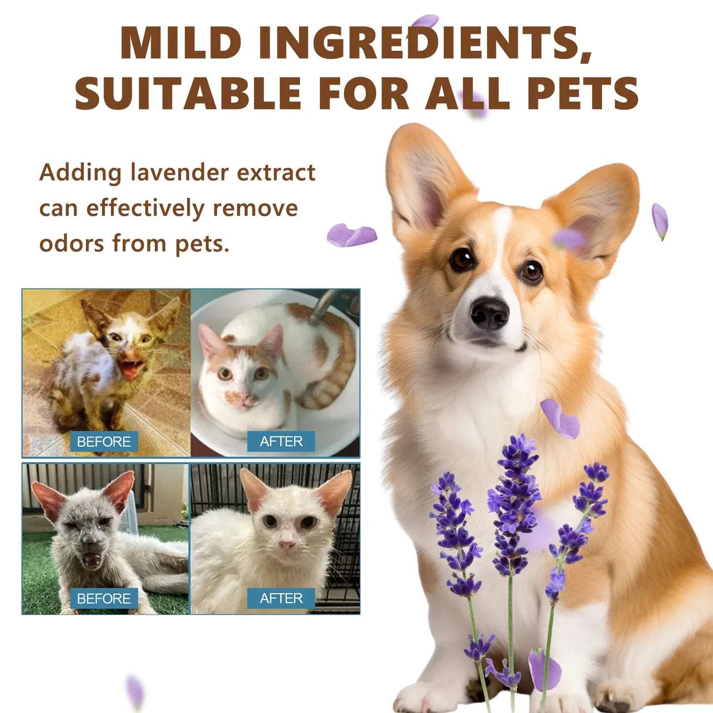 Pet Wash-free Essence Set for Cats and Dogs To Soften Hair, Clean, Decontaminate and Deodorize Dry Cleaning Care