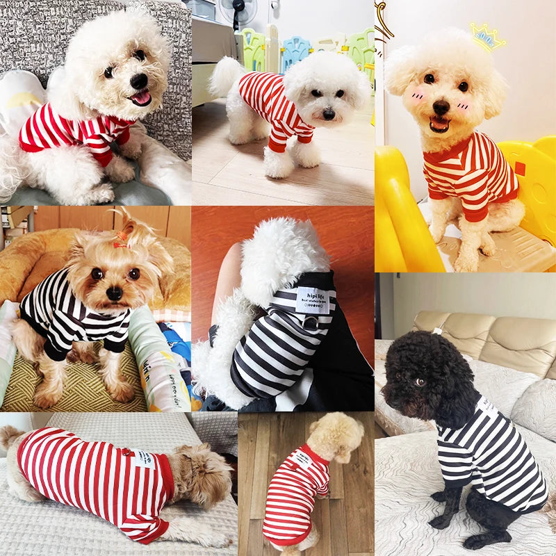Winter Dog Clothes Cute Cartoon Dog Warm Hoodie Chihuahua French Bulldog Sweatshirt Puppy Outfit Coat Pet Dog Costume