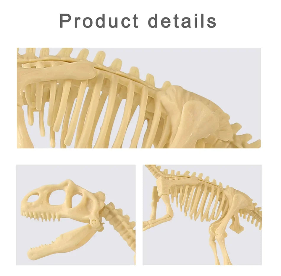 Dinosaur Fossil Excavation Kit for Kids Educational Archaeological Digging Adventure with Realistic Skeleton Models Perfect Gift for Boys and Girls