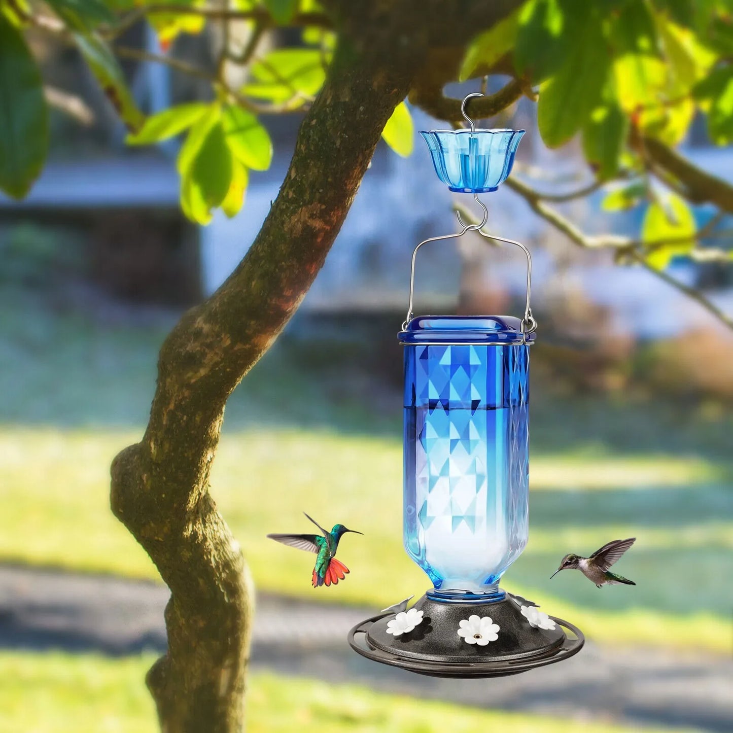Glass Hummingbird Feeder with Ant Guard - 6 Flower Port Outdoor Bird Feeder for Garden Decoration, Easy Clean Nectar Dispenser