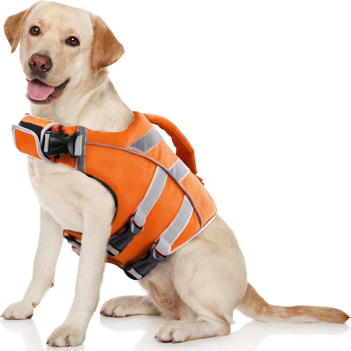 Ensure Your Dog's Water Adventures are Safe and Stylish: Premium Waterproof Dog Life Jacket with Reflective Stripes, Extra Stick