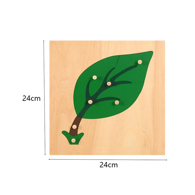 Montessori Wooden Panel Puzzles for Kids Age 3-6 Cognitive Animal and Insect Learning Toys