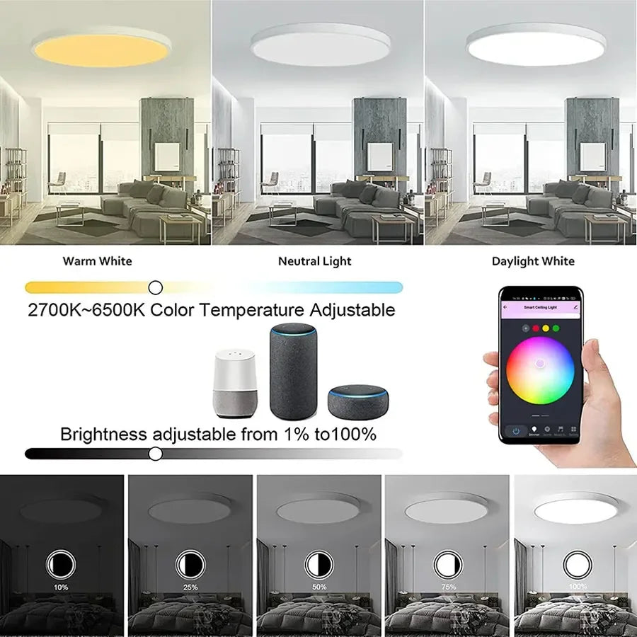 Tuya Smart WiFi BLE LED Ceiling Light 24W RGBCW Lamp