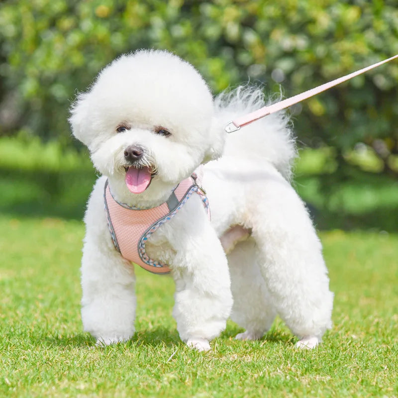 Outdoor Walking Pincher Dog Harness and Leash Set for Small Medium Dogs Chihuahua mascotas Vest Harnesses Pomerian Accessories