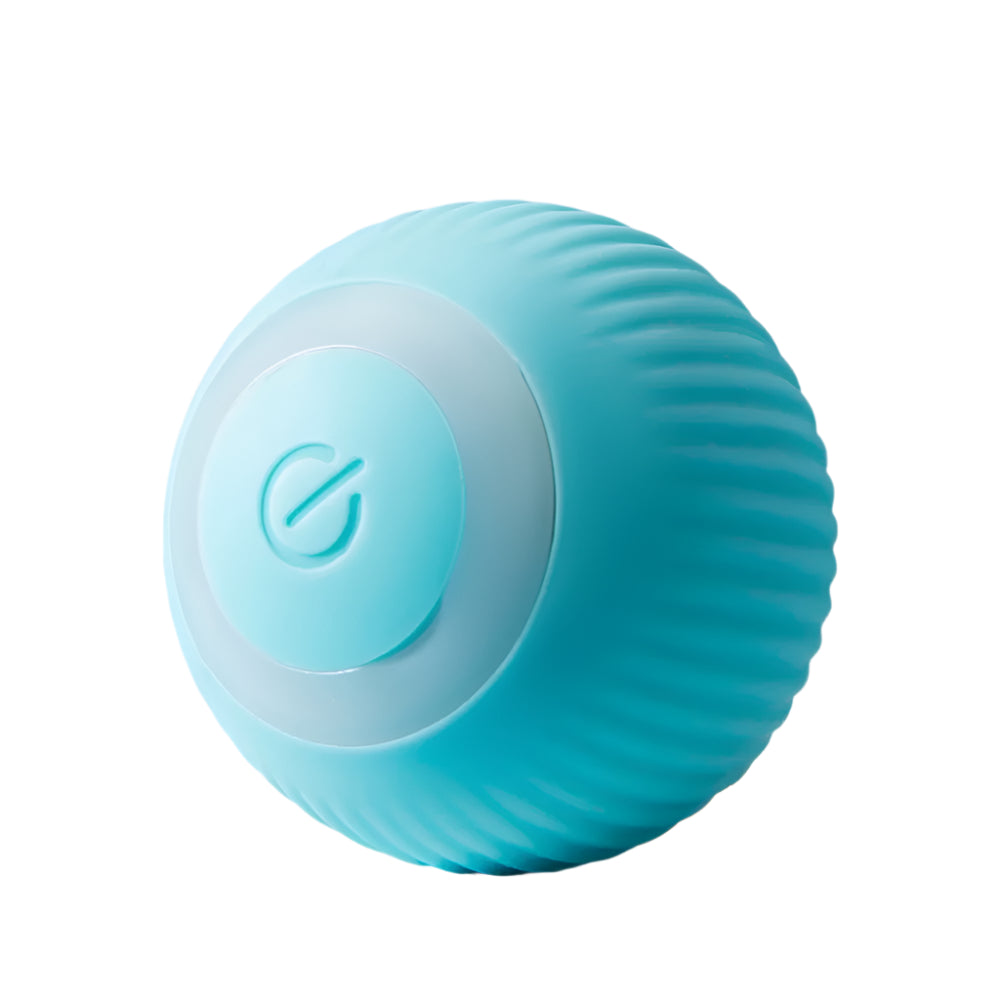 Cat Interactive Ball Smart Pet Toy for Indoor Fun