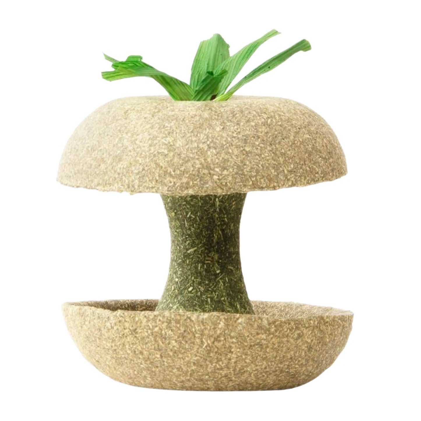 Unique Apple Core Shaped Pet Teeth Grinding Rod Tool Cute Hamster Chew Toys Creative Pet Feeding Supplies Accessories for Teeth