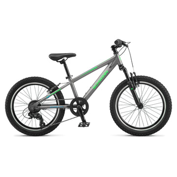 Schwinn Thrasher 20" Bike - Gray