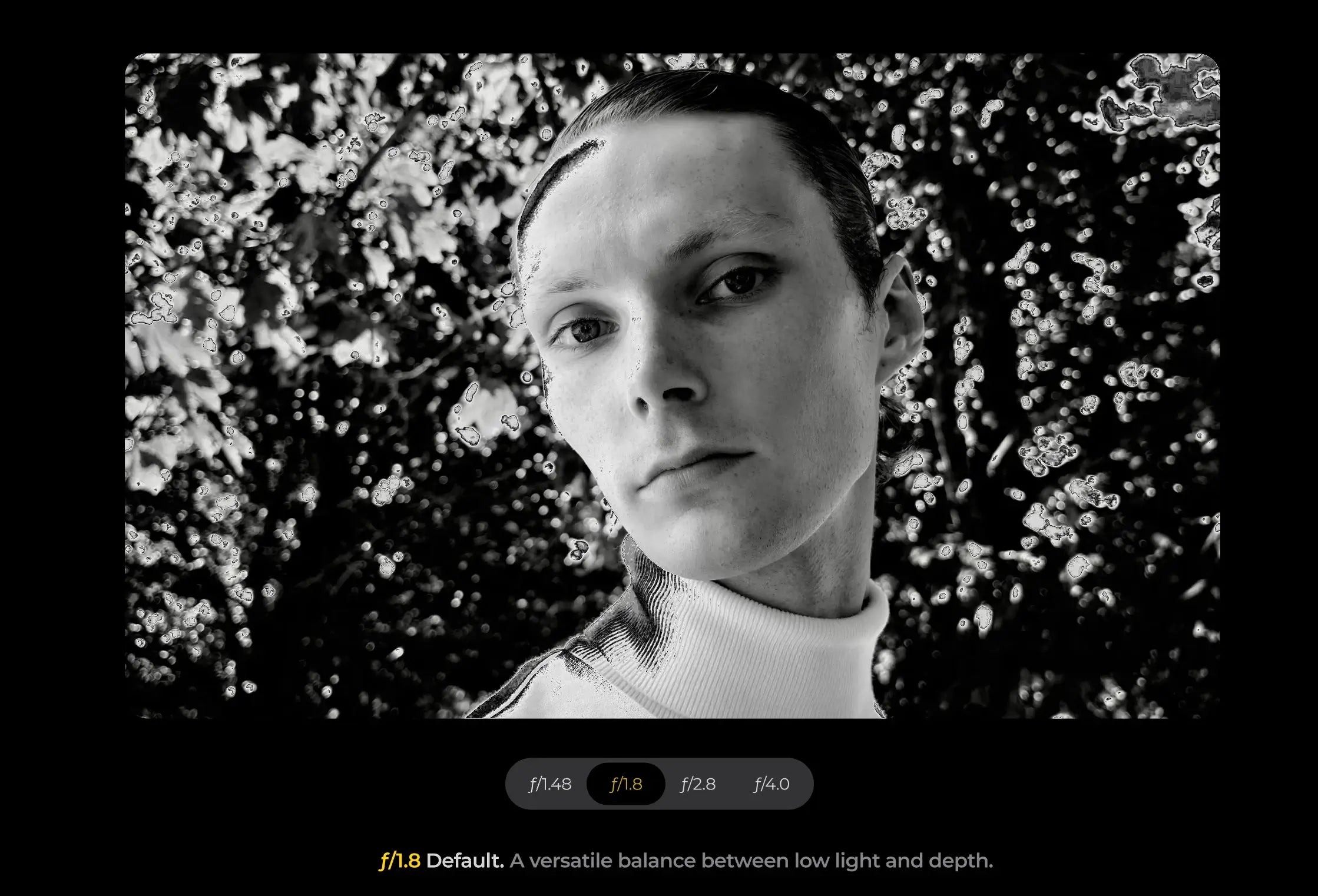 Variable aperture photo examples — 2