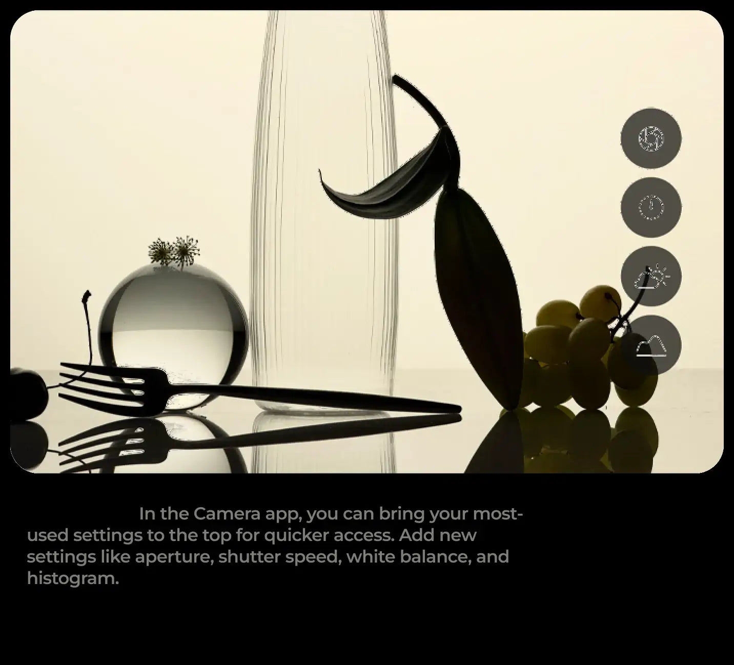 Pro camera controls — 1