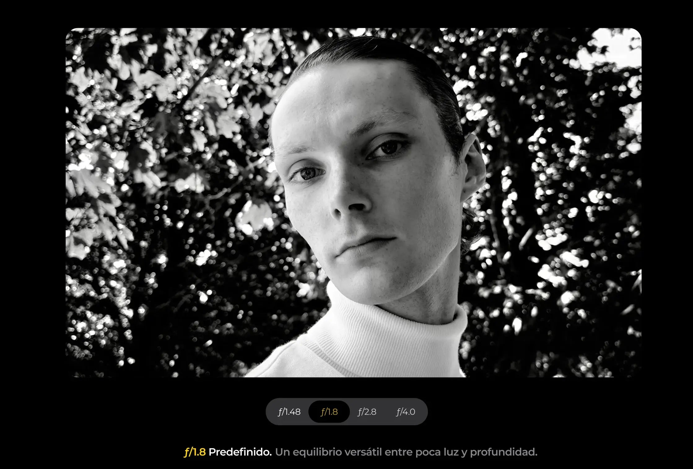 Ejemplos de fotos con apertura variable — 2