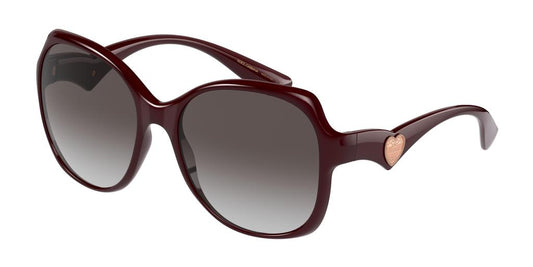 Dolce & Gabbana Transparent Bordeaux Grey Gradient Sunglasses