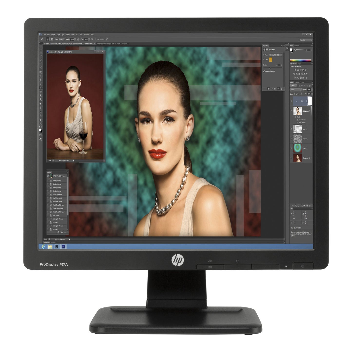 Monitor retroiluminado LED HP ProDisplay P17A de 17" (VGA), color negro